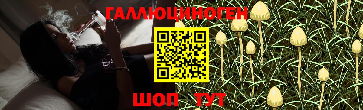 Псилоцибиновые грибы Psilocybe Лыткарино